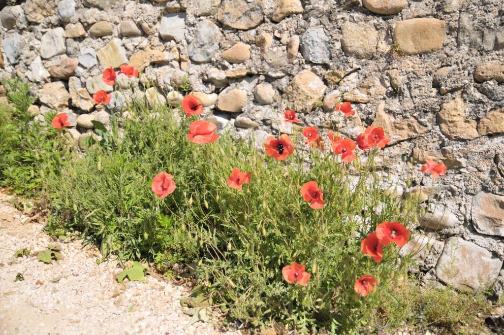 Gites Du Domaine Des Dames Vallon-Pont-dʼArc Quarto foto
